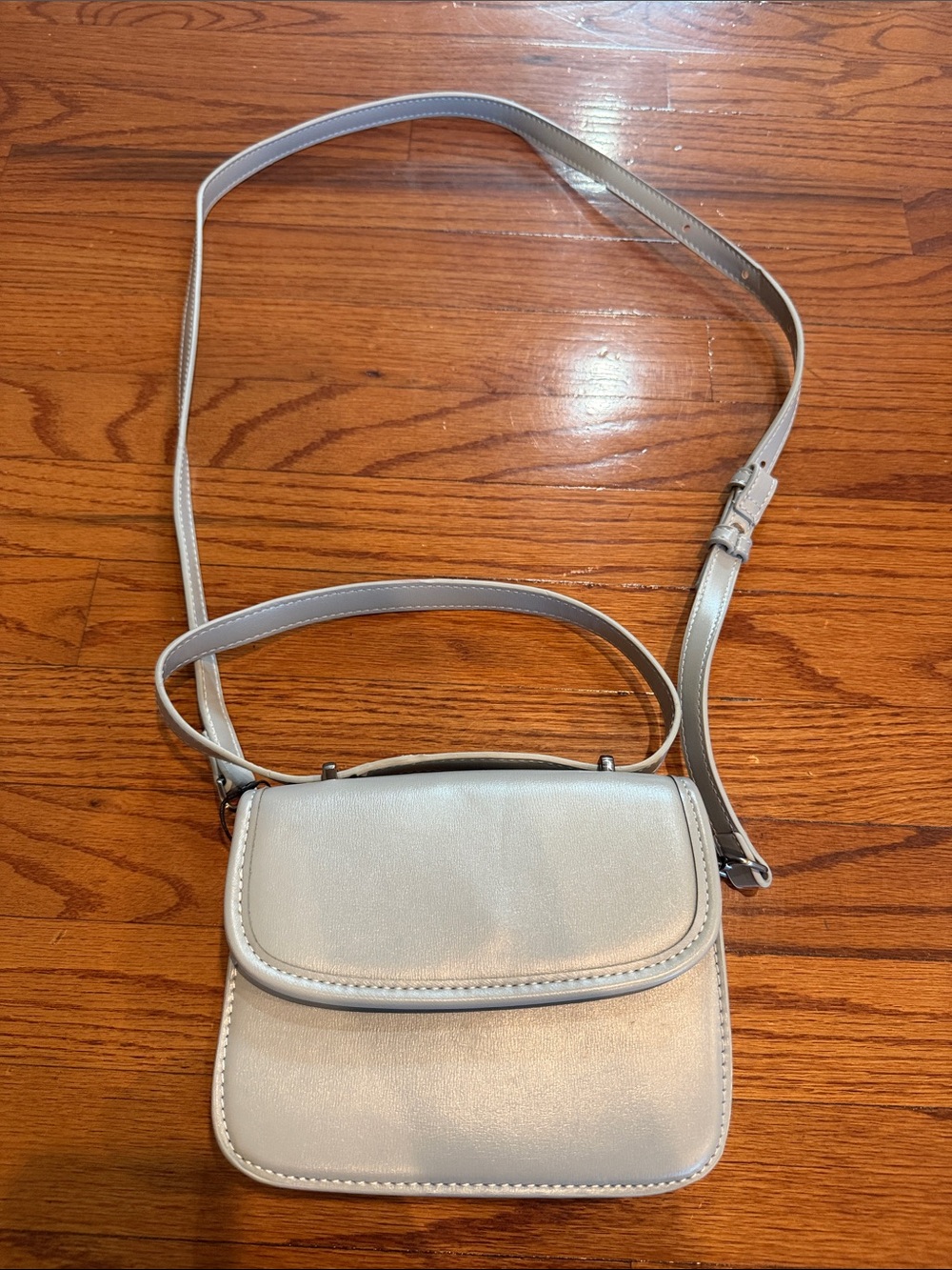 Zara Small Crossbody Bag in Light Gray